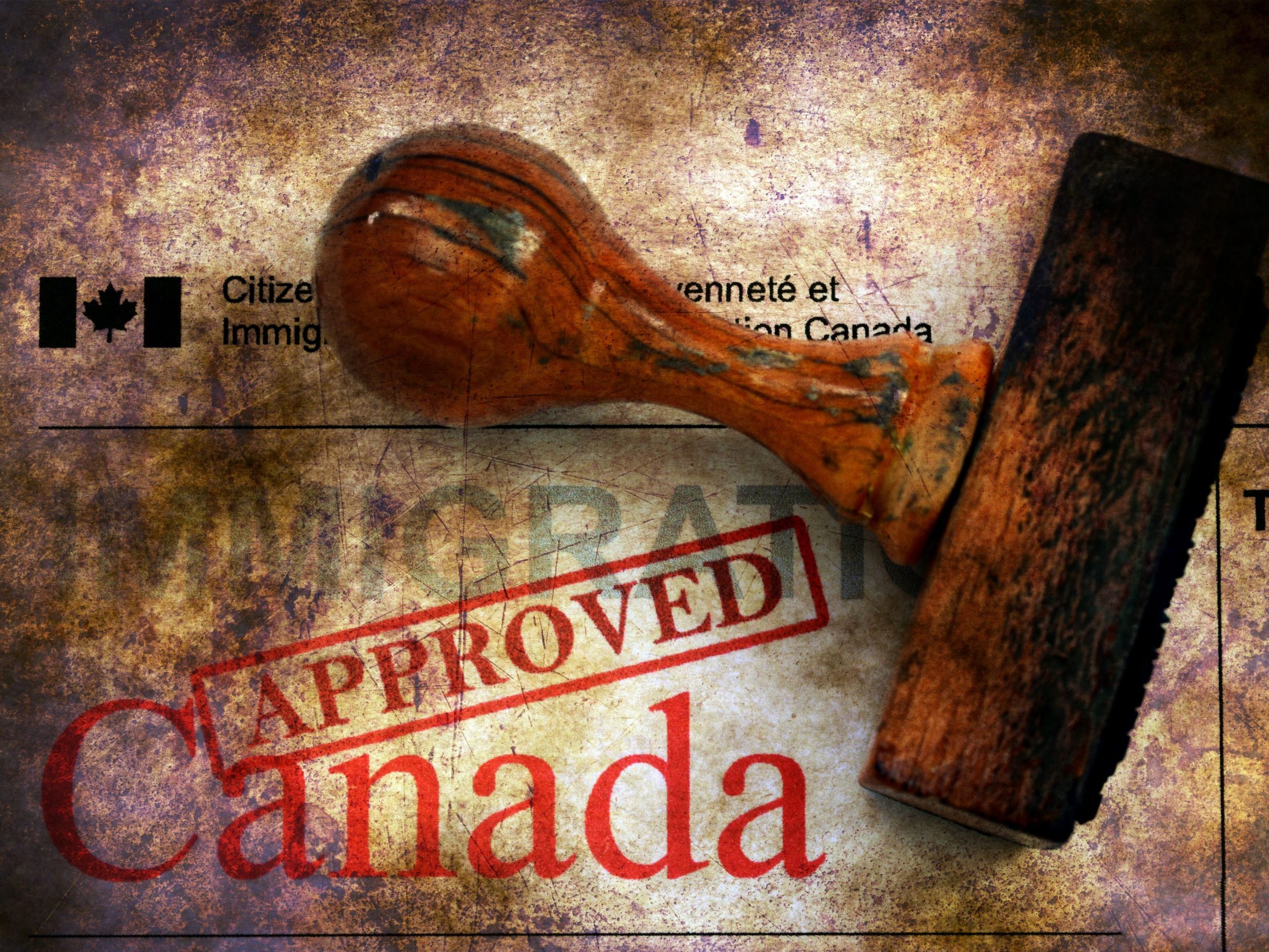 Document Services That Support Immigration Applications