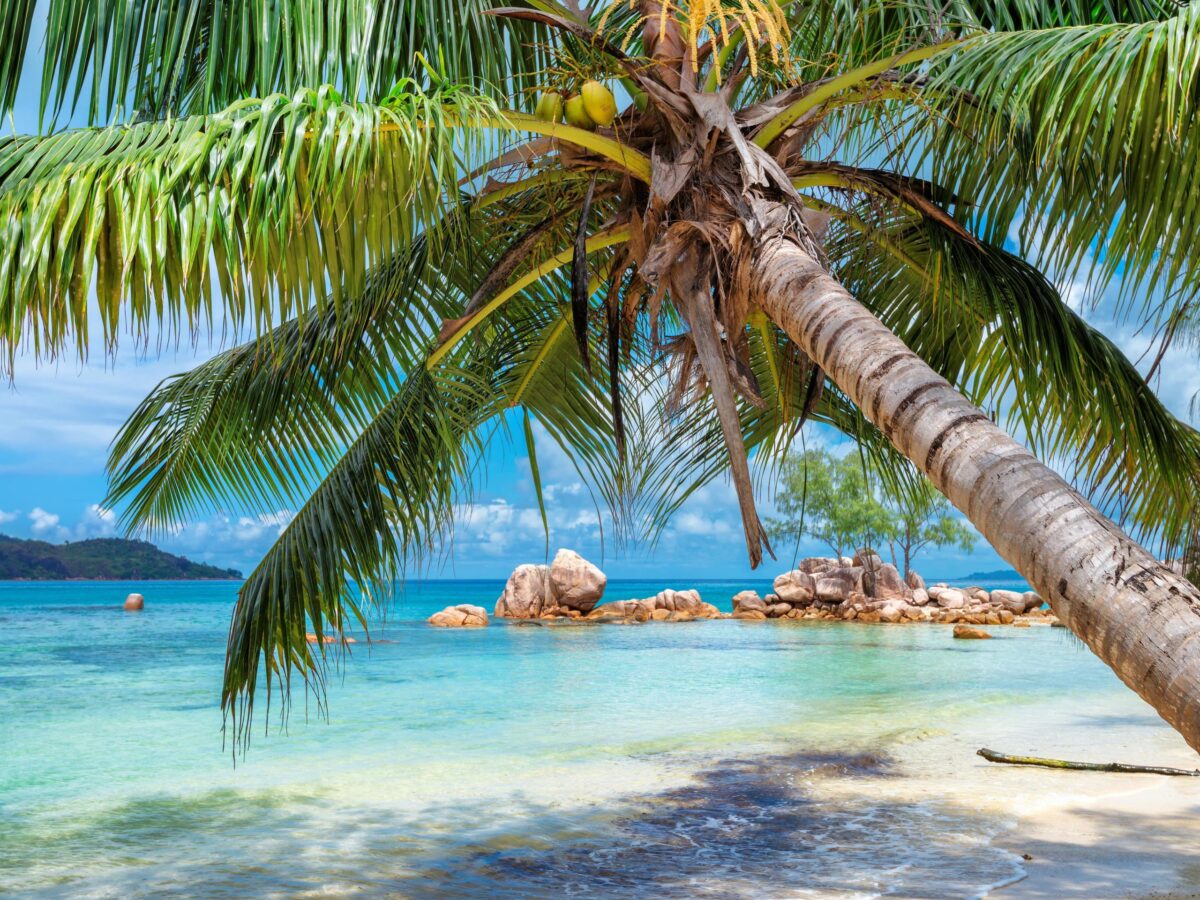 Apostille de document canadien pour résidence au Mexique